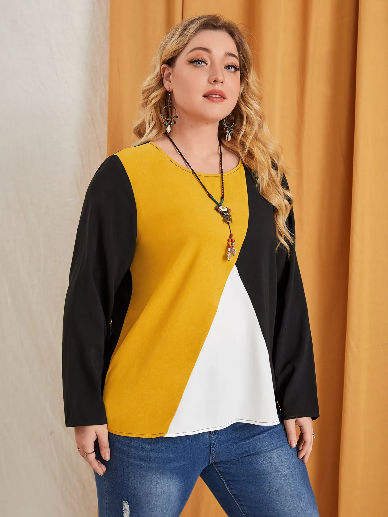 Casual Colorblock Long Sleeve Round Neck Regular Plus Size Blouse