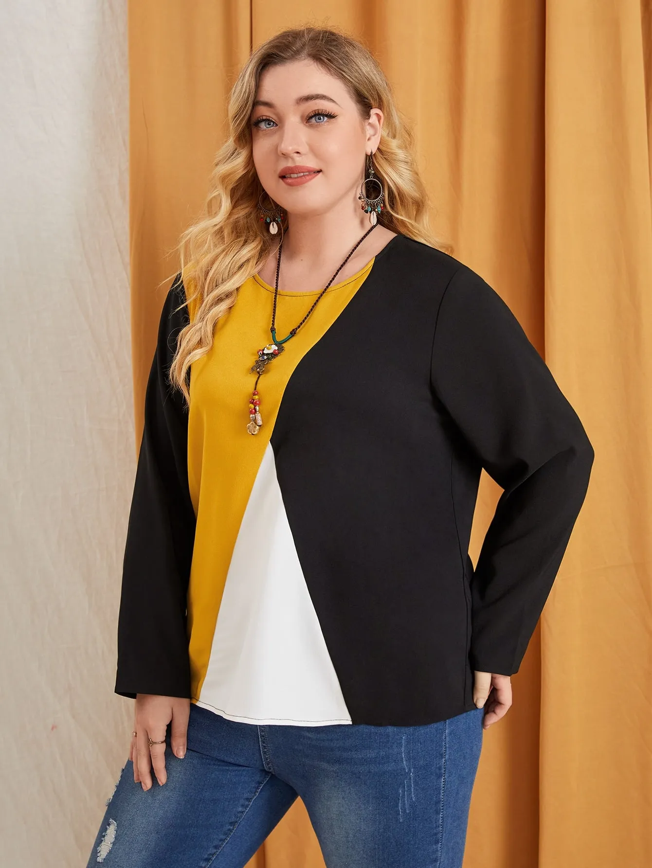 Casual Colorblock Long Sleeve Round Neck Regular Plus Size Blouse