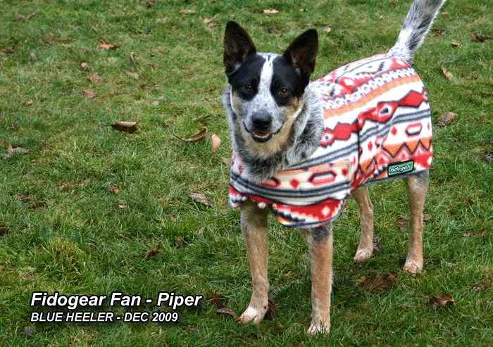 Dog Coat - Polar Coat