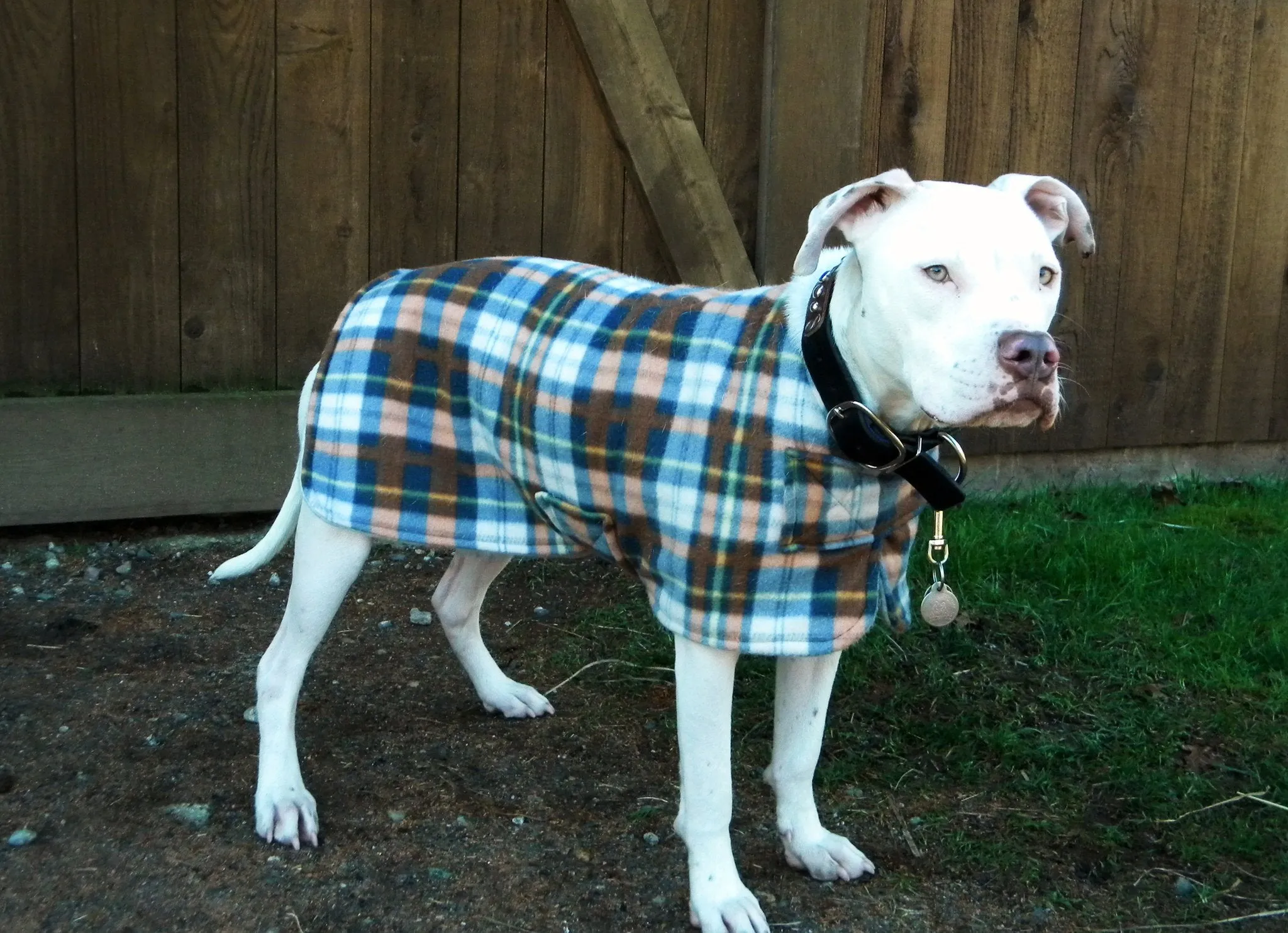 Dog Coat - Polar Coat