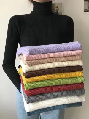 Simple Ribbed Turtleneck
